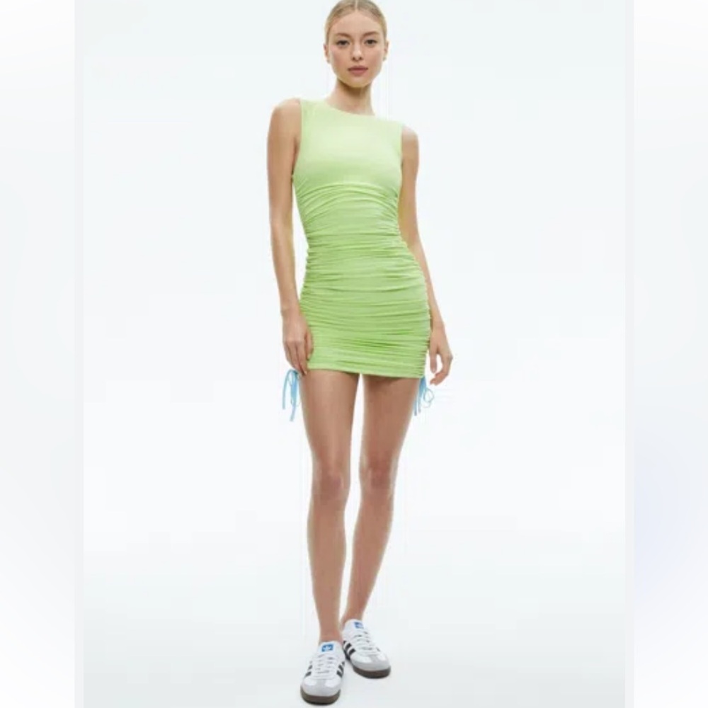 Alice & Olivia Saretta Reversible Dress In Sharp Green/Spring Sky Size 12